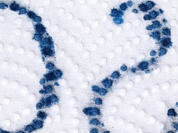 Detail - Paraloid B72 15% Solution - Back