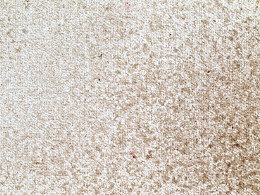 Mottled 'dirt' pattern using sponge and Fast - Very Light 7.5 B72 Retouching Gel