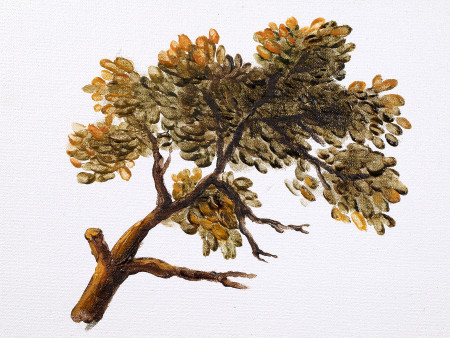 Tree - Imitating megilp with B72 Retouching Gels