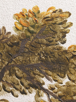 Macro 1 - Tree Leaves - Slow - Heavy 20 and Fast - Light 10 B72 Retouching Gels