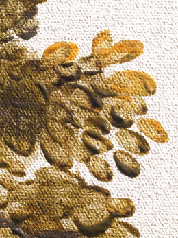 Macro 2 - Tree Leaves - Slow - Heavy 20 and Fast - Light 10 B72 Retouching Gels